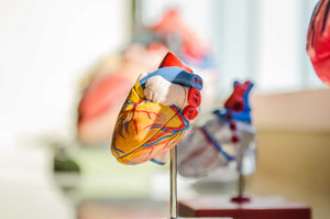 Stopul cardio-respirator: cauze, simptome, acordarea primului ajutor si recuperare