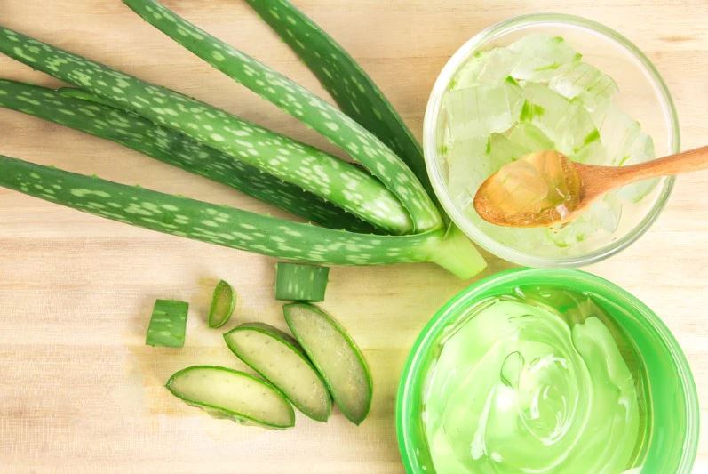 Aloe vera - Propietati, Beneficii si Utilizari | Secom