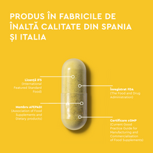 Incarca imaginea in galerie, Daily-Quercetin 500 mg