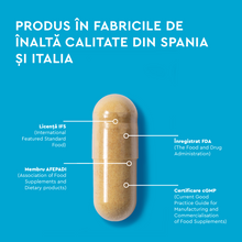 Incarca imaginea in galerie, Build-Your-Joints 30 caps veg