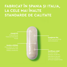 Incarca imaginea in galerie, Train-Your-Brain®