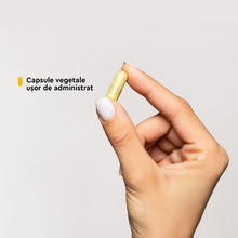 Incarca imaginea in galerie, Daily-Quercetin 500 mg