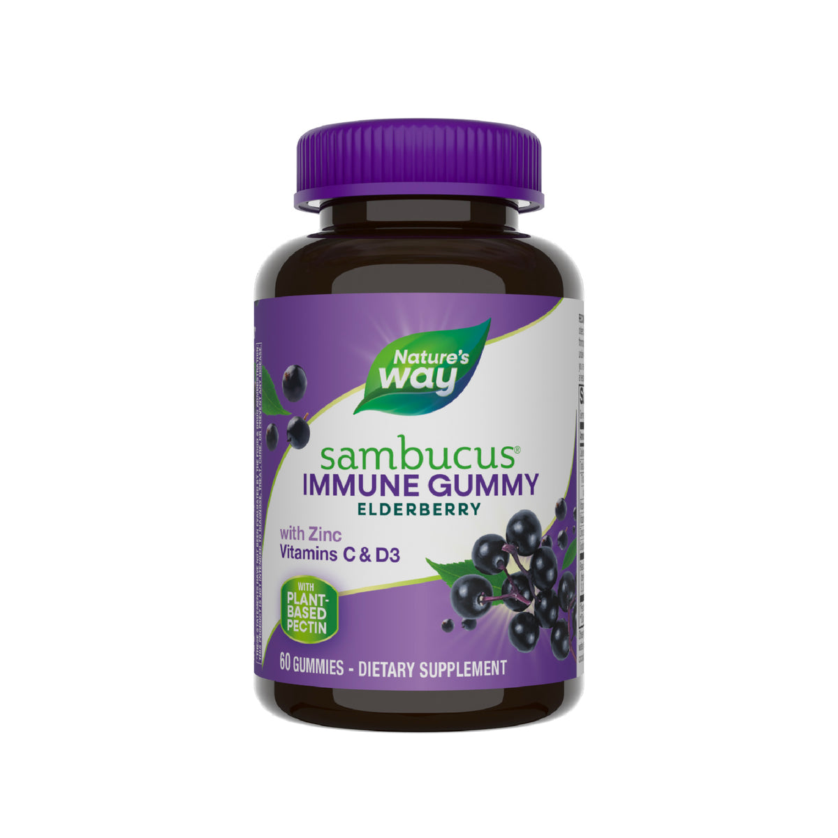 Sambucus Elderberry