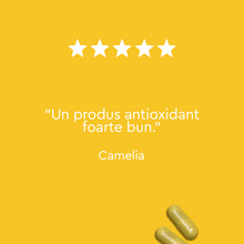 Incarca imaginea in galerie, Daily-Quercetin 500 mg