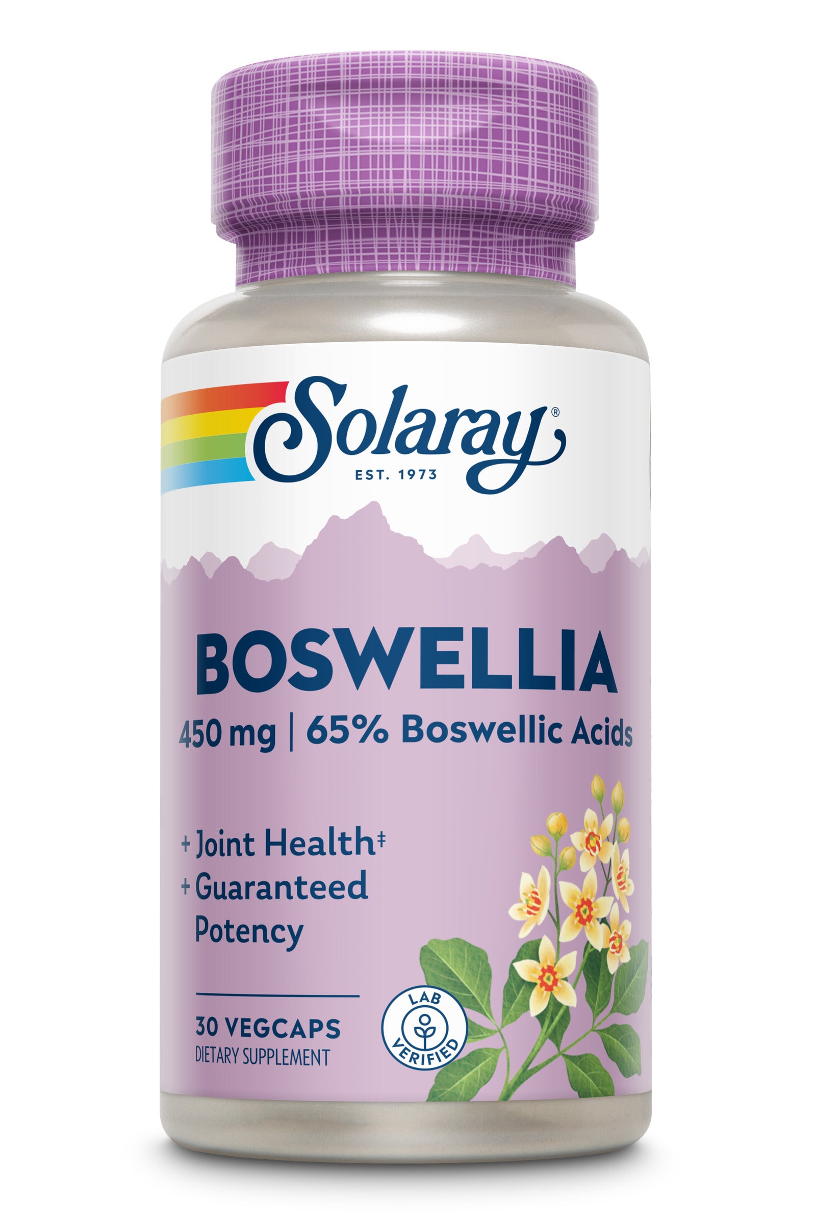 Boswellia 450mg – Solaray – 30 capsule vegetale | Secom