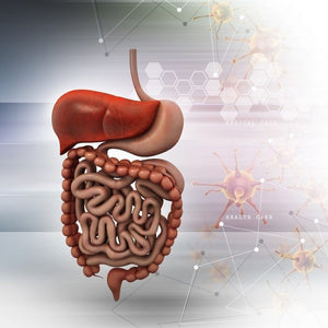 Terapia de substitutie enzimatica si repopulare a microflorei intestinale in contextul Sindromului de Intestin Iritabil (SII)