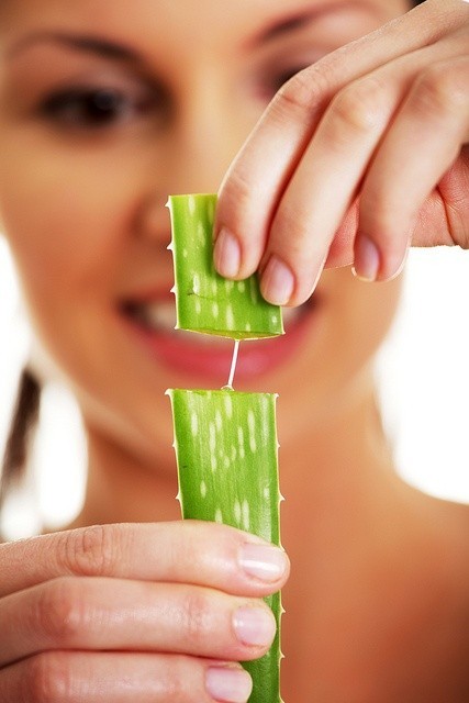Aloe Vera, hidratant pentru piele si detoxifiant
