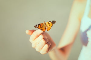 Tiroidita Hashimoto – suport natural pentru atingerea profilului hormonal fiziologic