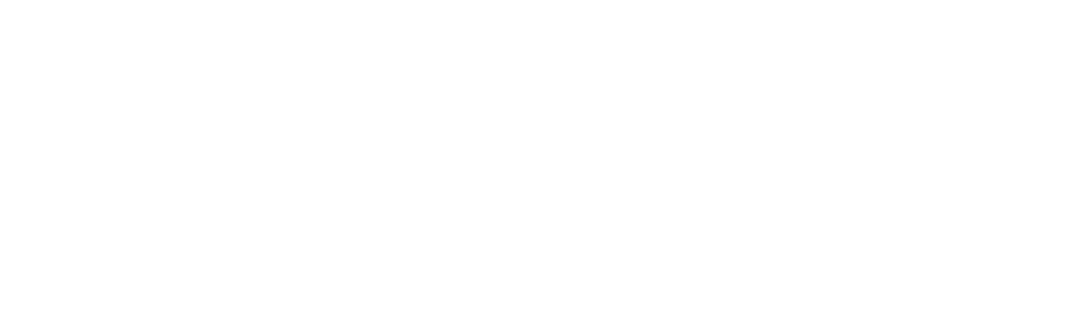 Standardul Secom